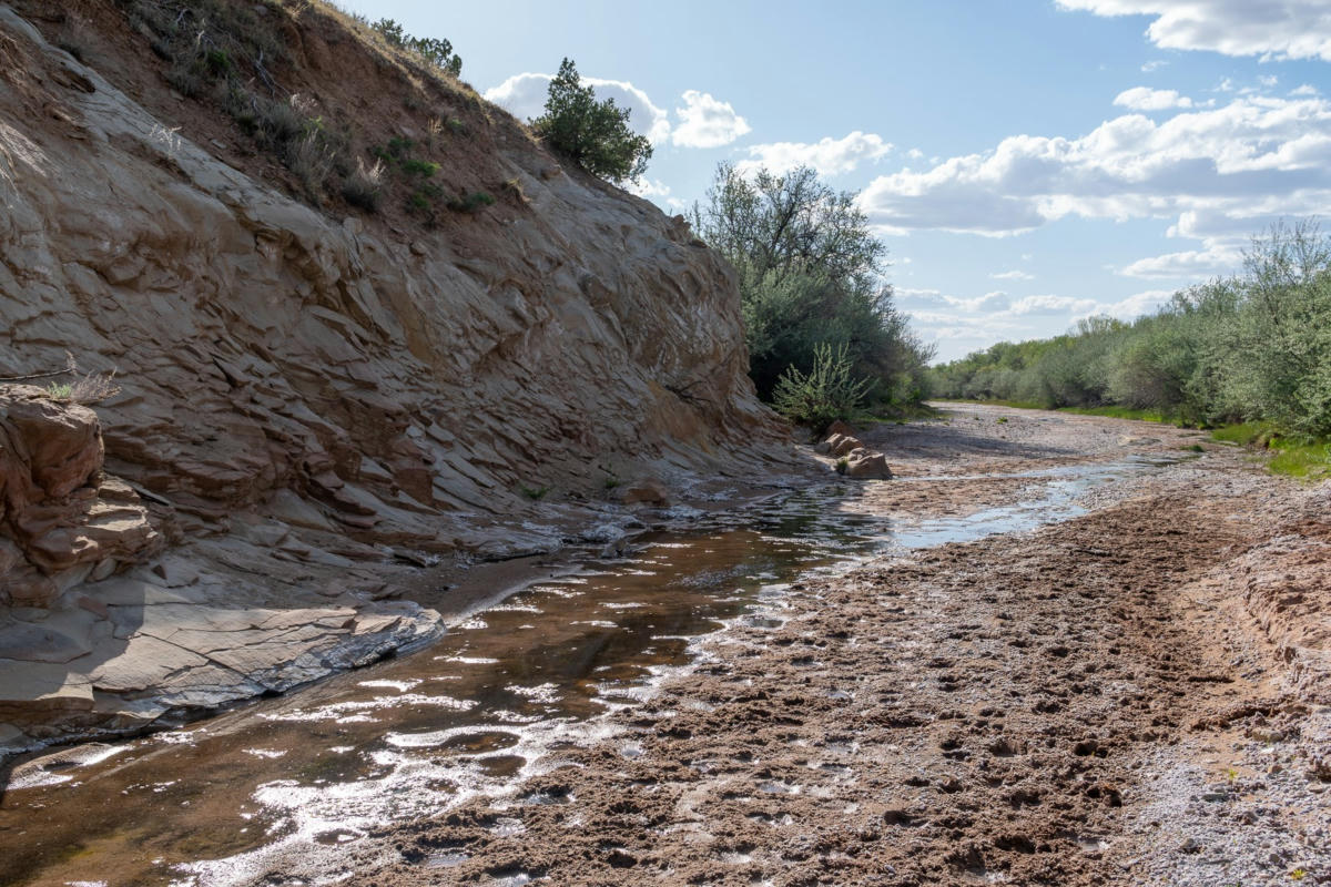 99 ACRES ROGERSVILLE, CERRILLOS, NM 87010, photo 1 of 18