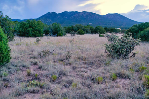 509 GOLDMINE RD, CERRILLOS, NM 87010, photo 3 of 20