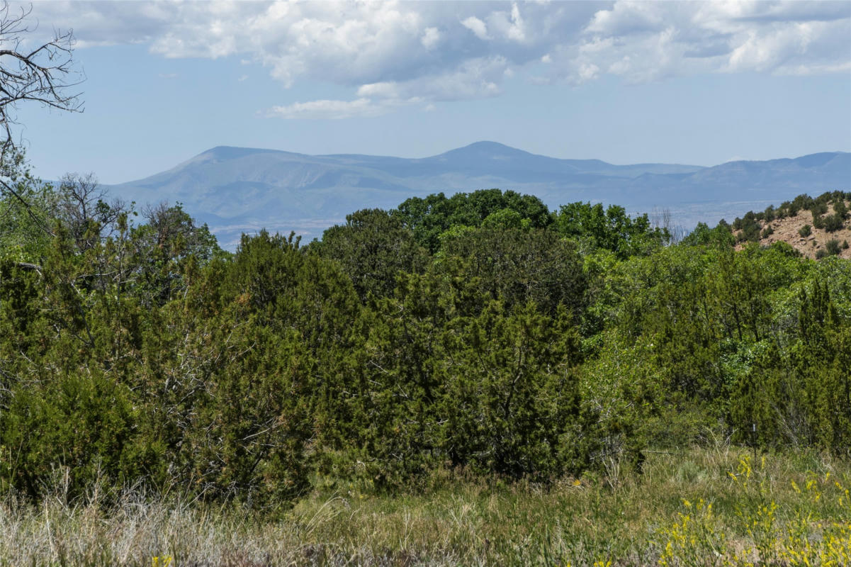 7 RANCHO DE ORTIZ, SANTA FE, NM 87506, photo 1 of 15