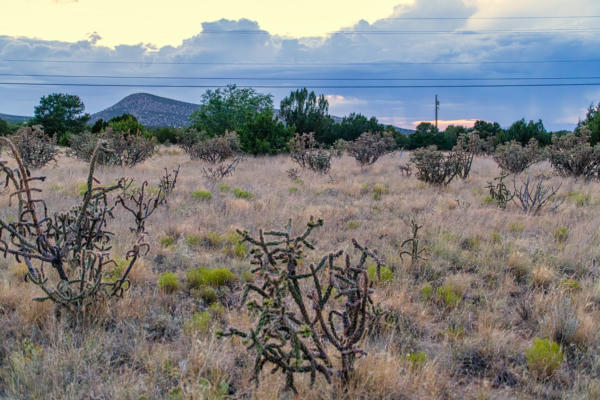 509 GOLDMINE RD, CERRILLOS, NM 87010, photo 4 of 20