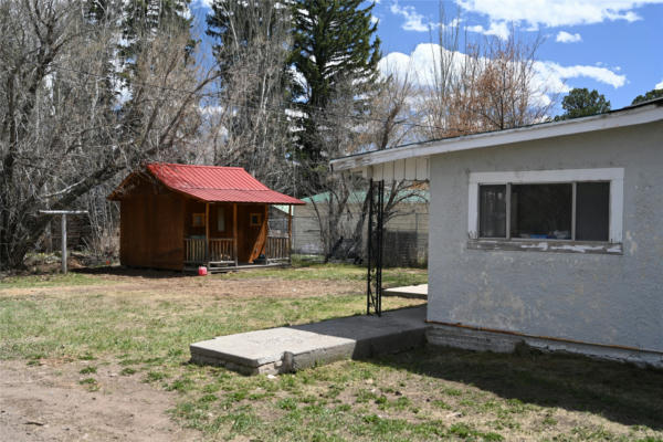 202 PINE AVE, CHAMA, NM 87520, photo 4 of 24
