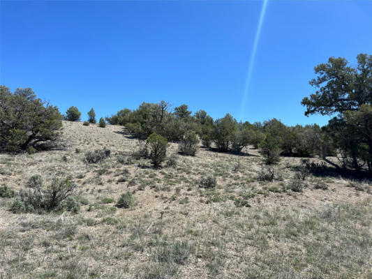 TBD BUENA VISTA ROAD, TIERRA AMARILLA, NM 87575, photo 2 of 18