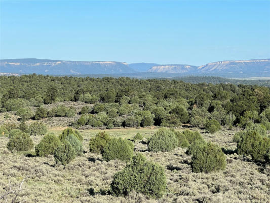 TBD HIGHWAY 84/64, TIERRA AMARILLA, NM 87575 - Image 1