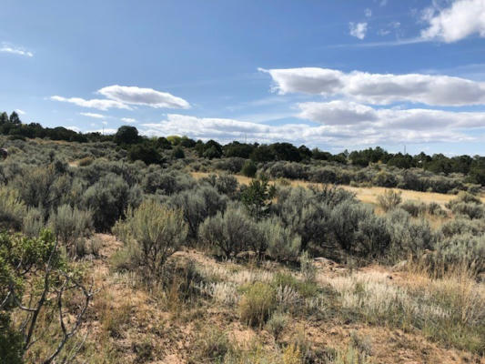 6 ONE ACRE LOTS NM 76, TRUCHAS, NM 87578, photo 5 of 29