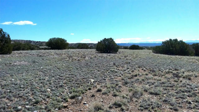 691 COUNTY ROAD 142, MEDANALES, NM 87548, photo 4 of 72