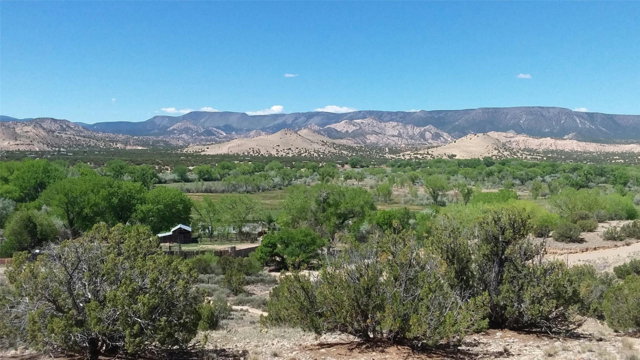 691 COUNTY ROAD 142, MEDANALES, NM 87548, photo 1 of 71