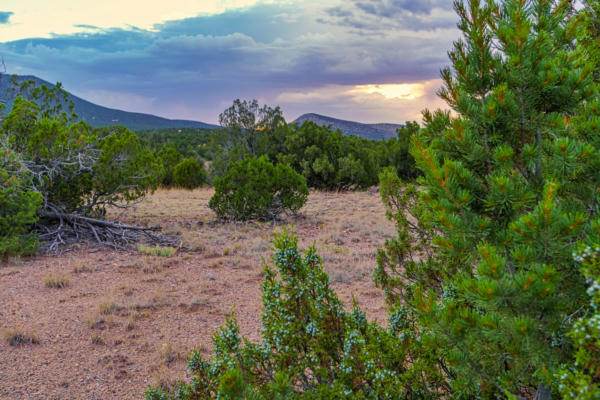 176 WAGON TRAIL RD, CERRILLOS, NM 87010, photo 3 of 35