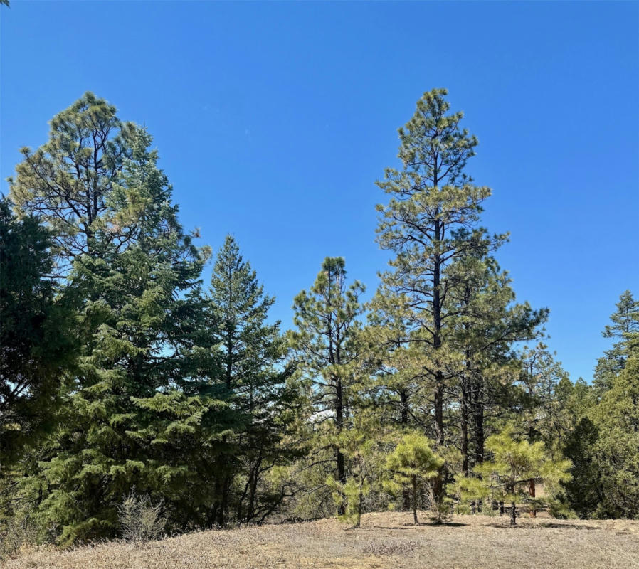 2A CR 349, CHAMA, NM 87520, photo 1 of 6
