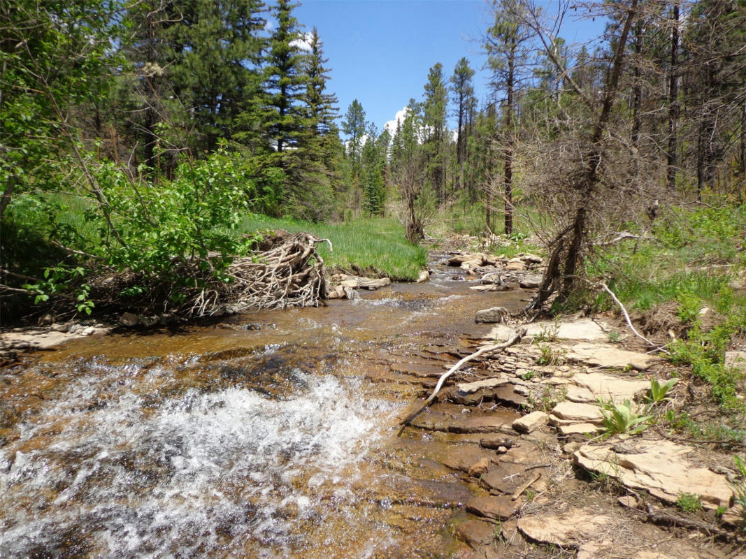 70AC B022, MORA, NM 87732, photo 1 of 15