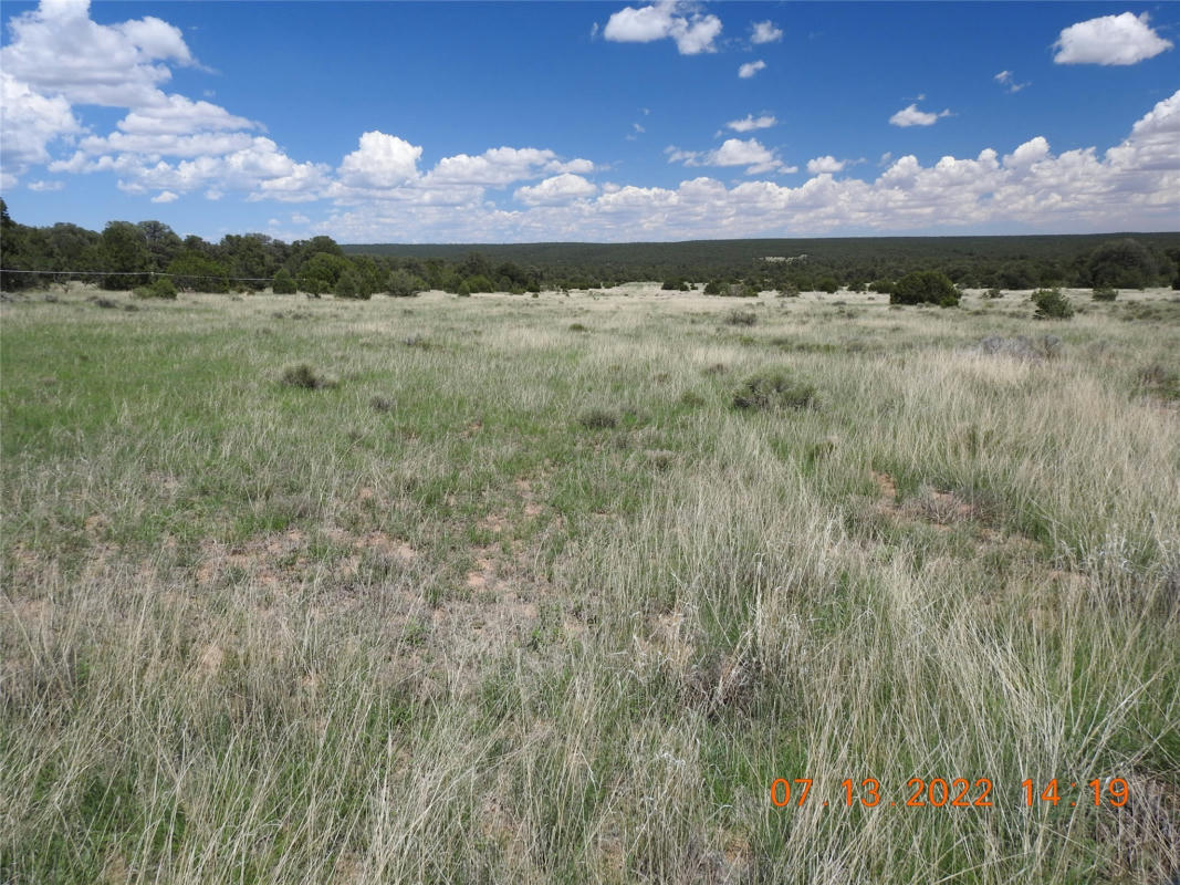 9 TIERRA DEL DIOS RD, ROWE, NM 87562, photo 1 of 29