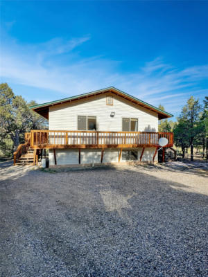 17 LEANING PINE ROAD, LOS OJOS, NM 87551, photo 3 of 54