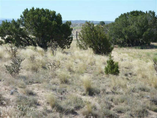 TRACT C C-1-A-1-A OF COTTONWOOD, LOS LUCEROS, NM 87582, photo 2 of 14