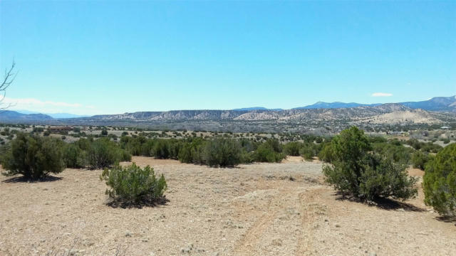 691 COUNTY ROAD 142, MEDANALES, NM 87548, photo 5 of 72