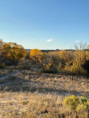 TBD PVT DR 1693A, US HWY 285, OJO CALIENTE, NM 87549, photo 5 of 16