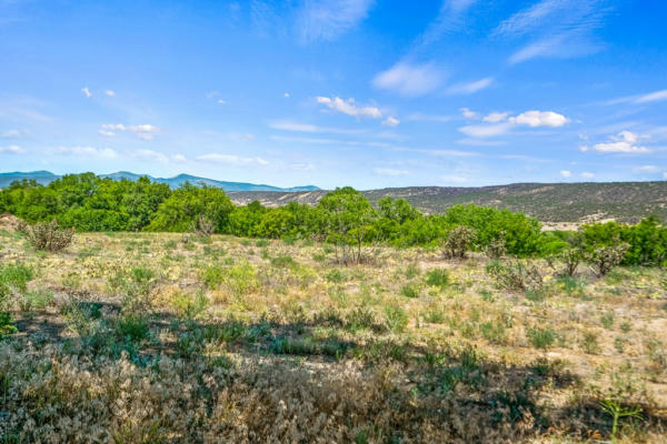 211 COUNTY ROAD 41, LOS LUCEROS, NM 87511, photo 4 of 43