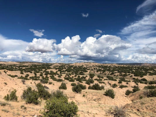 47 PRIVATE DRIVE 1614A, MEDANALES, NM 87548 - Image 1