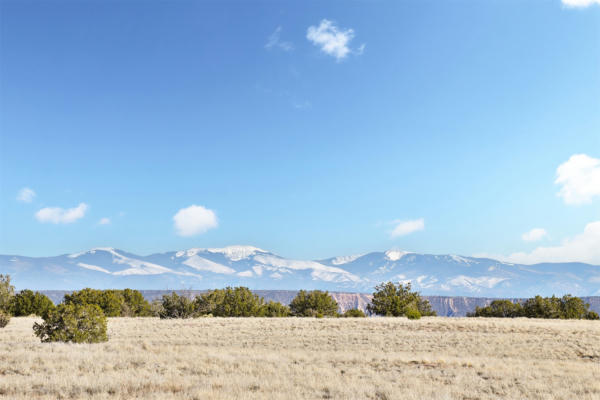 TBD LOT 16-B CORONA DRIVE, MEDANALES, NM 87548 - Image 1