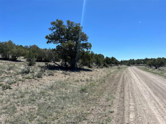 TBD BUENA VISTA ROAD, TIERRA AMARILLA, NM 87575, photo 3 of 18