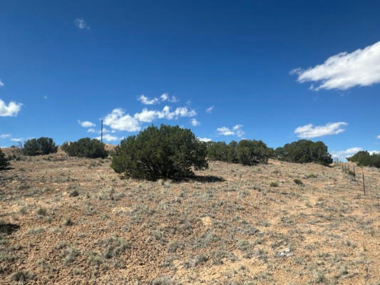 STATE ROAD 554 10.15 ACRE, MEDANALES, NM 87548, photo 5 of 9