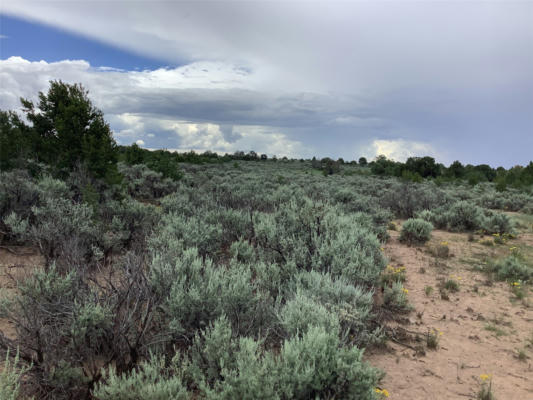 TBD COUNTY ROAD 77, TRUCHAS, NM 87578, photo 4 of 7