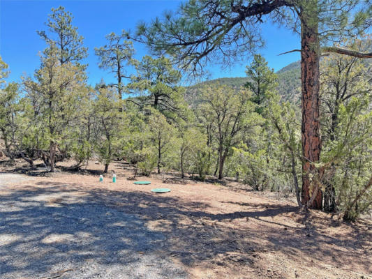 TRACT1E1A RAPTOR ROAD, JEMEZ SPRINGS, NM 87025, photo 2 of 14
