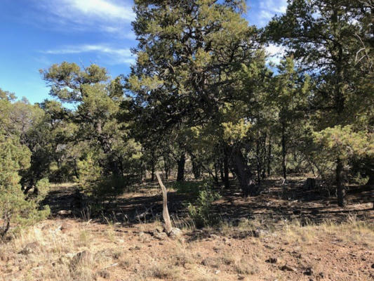 0.24 ACRE PORTION OF LOT 70, TRES PIEDRAS, NM 87577, photo 2 of 3