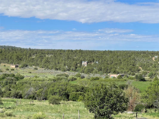 107 COUNTY ROAD 69, OJO SARCO, NM 87521, photo 5 of 6