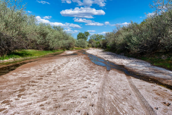 99 ACRES ROGERSVILLE, CERRILLOS, NM 87010, photo 4 of 18