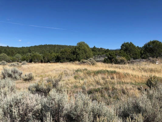 6 ONE ACRE LOTS NM 76, TRUCHAS, NM 87578, photo 4 of 29