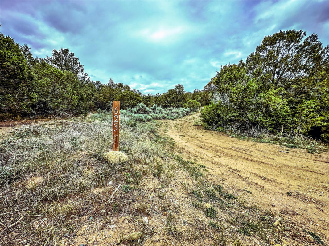 623 COUNTY ROAD 69, OJO SARCO, NM 87521, photo 1 of 48