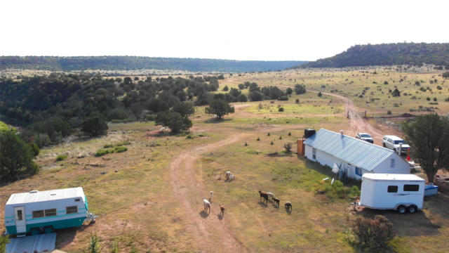 365 & 395 COUNTY RD C53D, TREMENTINA, NM 88439, photo 5 of 60