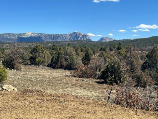 32 RESOLANA CIR, TIERRA AMARILLA, NM 87575 - Image 1