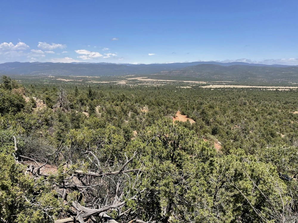 TRACT A-1 DRAGONFLY CANYON RD, ROWE, NM 87562, photo 1 of 10