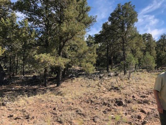 0.24 ACRE PORTION OF LOT 70, TRES PIEDRAS, NM 87577, photo 3 of 3
