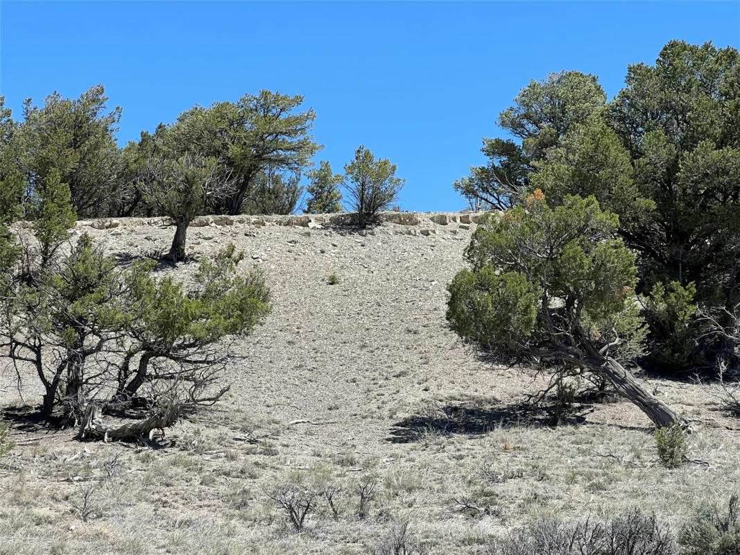 TBD BUENA VISTA ROAD, TIERRA AMARILLA, NM 87575, photo 1 of 18