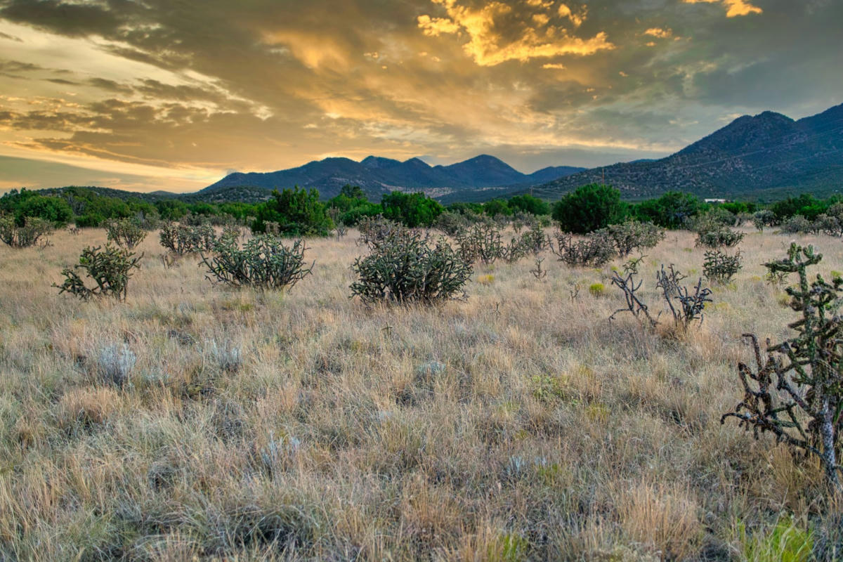 509 GOLDMINE RD, CERRILLOS, NM 87010, photo 1 of 20