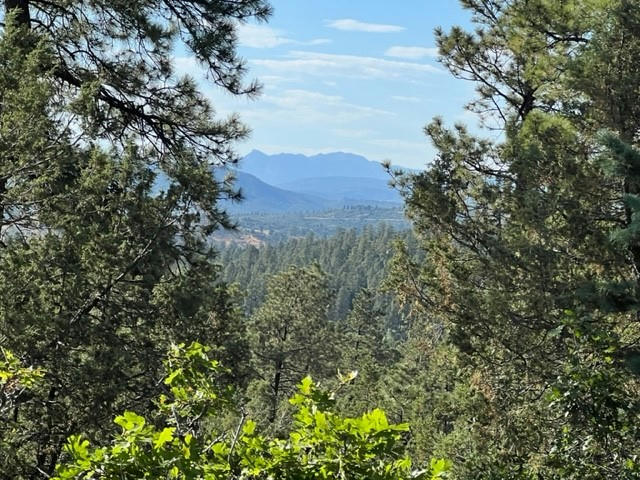 TBD LOG RIDGE TRAIL, CHAMA, NM 87520, photo 1 of 11