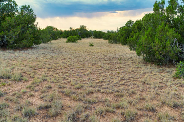 176 WAGON TRAIL RD, CERRILLOS, NM 87010, photo 4 of 35