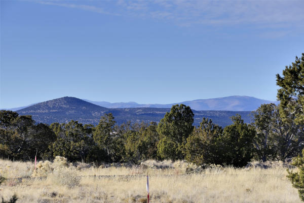 10 CAMPO RANCHEROS LOT 66, SANTA FE, NM 87506, photo 5 of 20