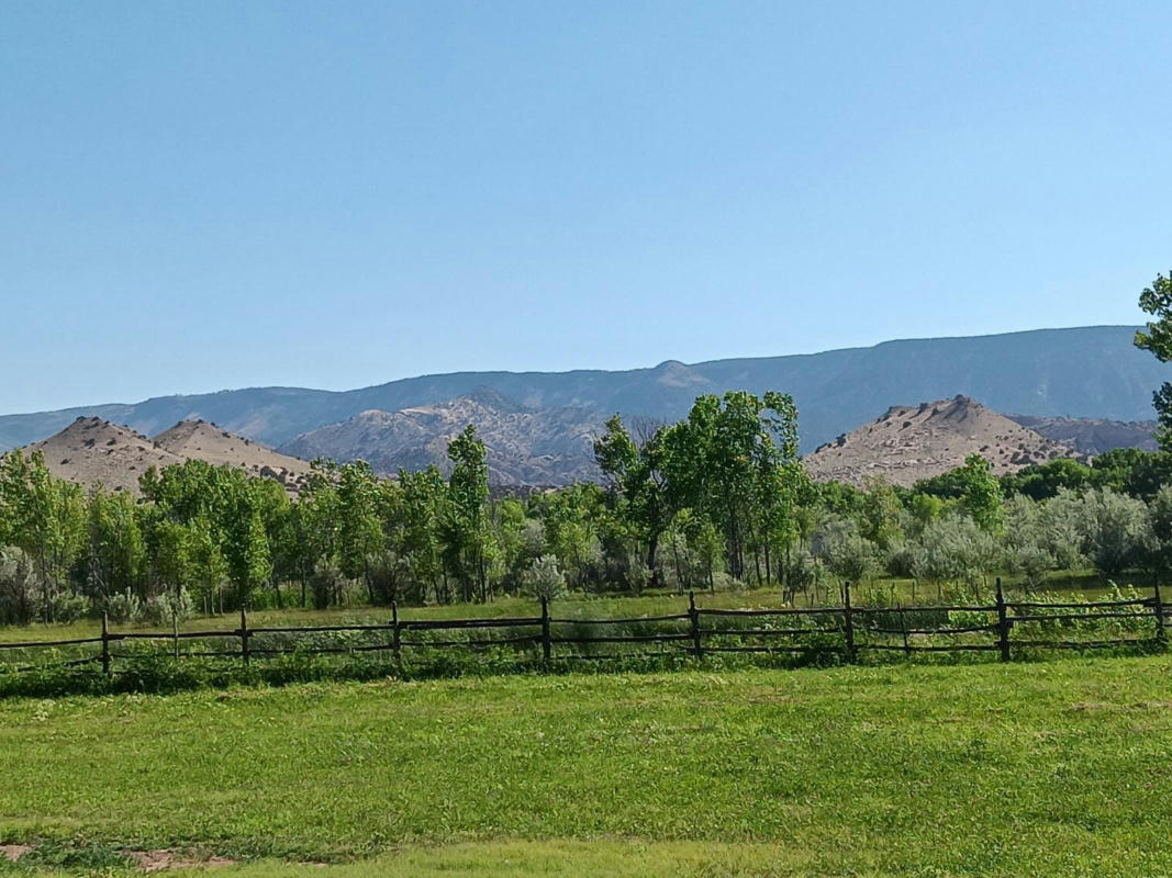 691 COUNTY ROAD 142, MEDANALES, NM 87548, photo 1 of 72