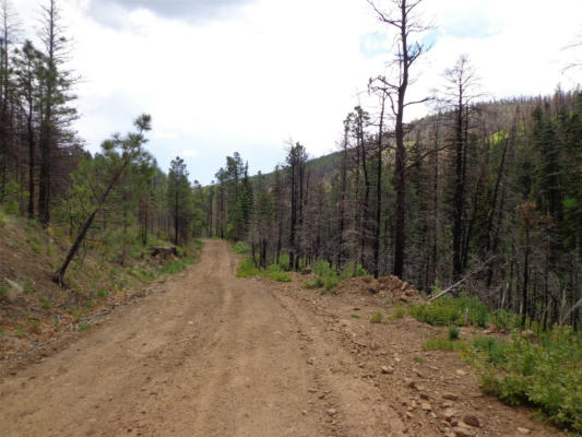 70AC B022, MORA, NM 87732, photo 3 of 15