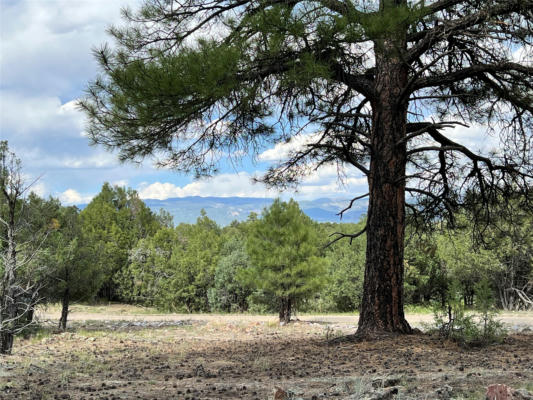 0 LOT 56A PARKVIEW HILLS, LOS OJOS, NM 87551 - Image 1