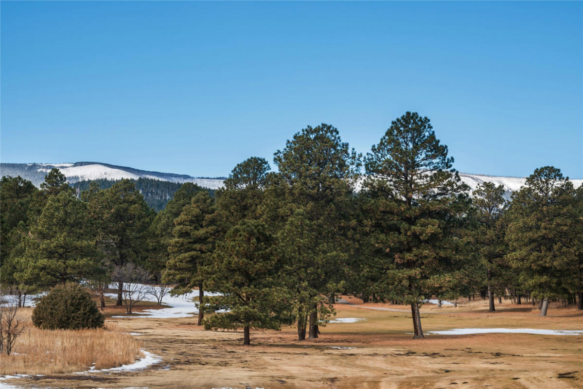 LOT 20 AVENIDA SECURIDAD, ROCIADA, NM 87742, photo 1 of 7