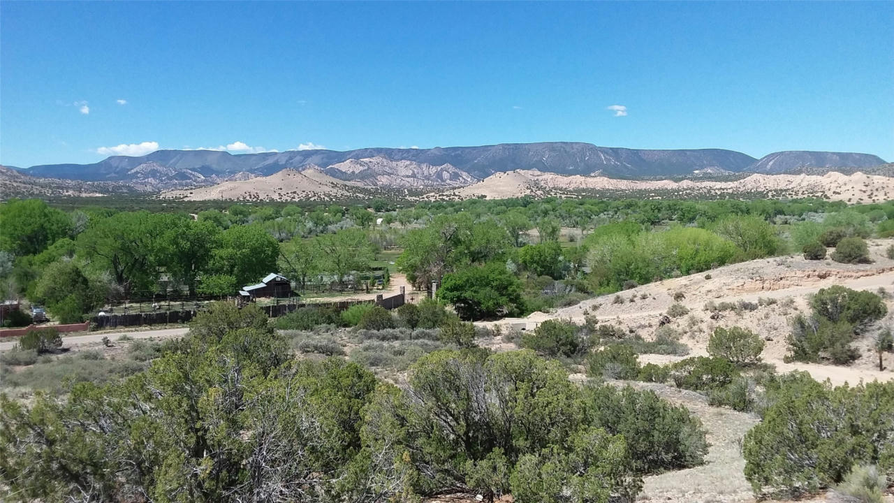 691 COUNTY ROAD 142, MEDANALES, NM 87548, photo 1 of 74