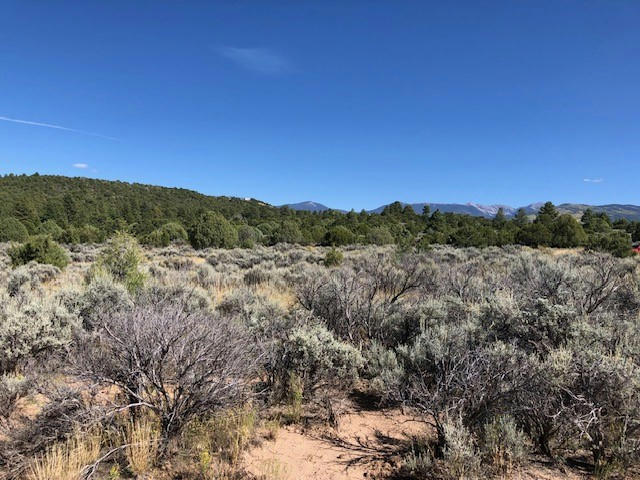 6 ONE ACRE LOTS NM 76, TRUCHAS, NM 87578, photo 1 of 29