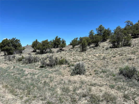 TBD BUENA VISTA ROAD, TIERRA AMARILLA, NM 87575, photo 4 of 18