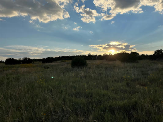 TBD ZUNI TRAIL RD, EDGEWOOD, NM 87015 - Image 1