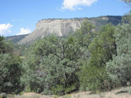 BLOCK 8 LOT 3, RUTHERON, NM 87575, photo 4 of 23