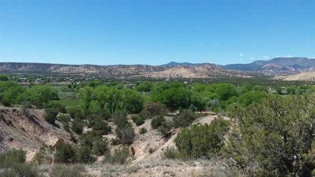691 COUNTY ROAD 142, MEDANALES, NM 87548, photo 2 of 74